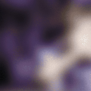 ███████(2026)